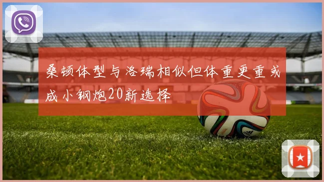 桑顿体型与洛瑞相似但体重更重或成小钢炮20新选择
